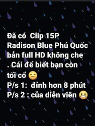 392828 392828