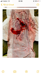F84BD6B0-C153-4C4E-BF39-17CA98121D3D.png