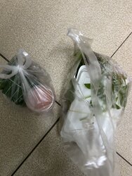 7F69CDFD-A9CB-406D-8692-CF6518066691.jpeg