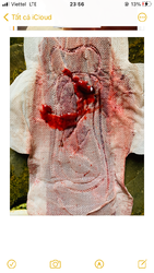 57CD9B25-D0F1-49BE-921A-B4C369A1F8BA.png