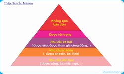 thap-nhu-cau-maslow.jpg