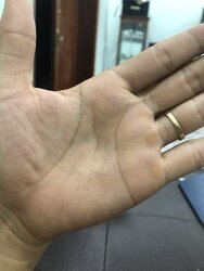 4A8355C3-33F9-4EF2-A3FC-125AB30D73FC.jpeg