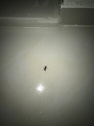30D61FDF-A55C-43E0-BA4A-392EDD090A11.jpeg