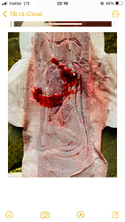 A965D50C-035B-4037-9181-1477ABBD1076.png