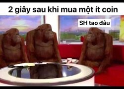 68FF01E8-E217-4EAC-83C0-9A253909CB55.jpeg