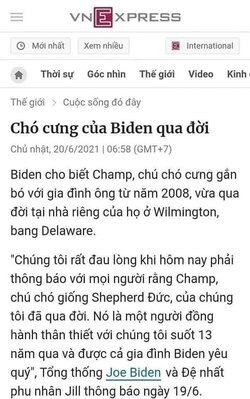 FB_IMG_1624288382676.jpg