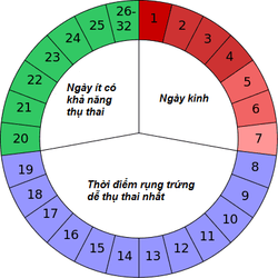 20190422_083634_647535_ngay_rung_trung.max-800x800.png