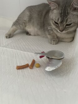 0AF79186-C9E7-4B96-A146-0F812DF0CB36.jpeg