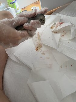 DA78578D-C09A-4E83-8D33-EF28AF2B1034.jpeg