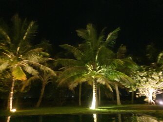 20210703_224600.jpg