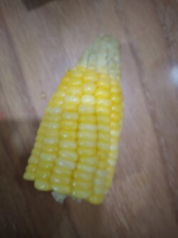 20210710_232252_mfnr.jpg