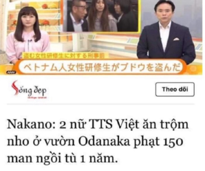 1626107952530.png