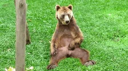 1626247210064.gif