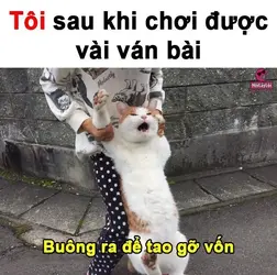 44911