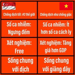 FB_IMG_1626508861644.jpg