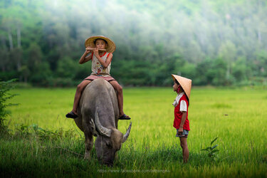hinh-anh-lang-que-2.jpg