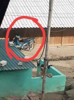 received_344617470470721.jpeg