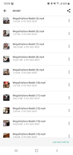 Screenshot_20210724-100404_MEGA.jpg
