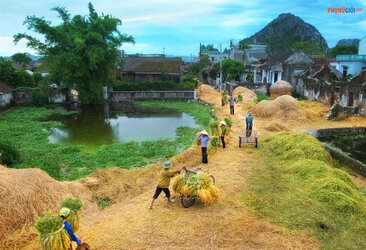 hinh-anh-lang-que-viet-nam-dep-moc-mac.jpg