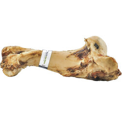xuong-gam-cho-cho-barkworthies-beef-femur-bone.jpg