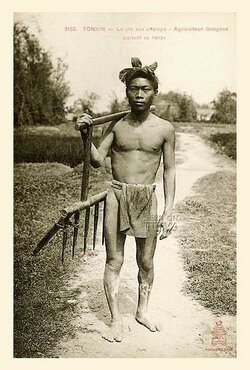 TONKIN-La-vie-aux-champs-Agriculteur-indigène-portant-sa-herse.jpg
