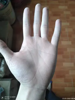 46245