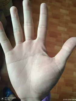 46246