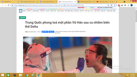 33333.png