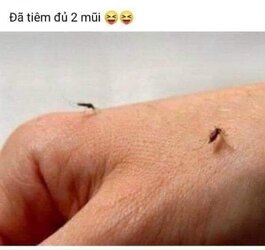 received_4229098097168871.jpeg