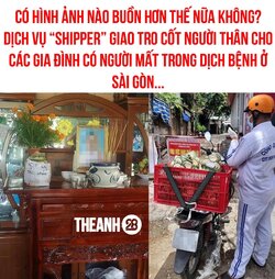 3F5CEC4B-0C09-4E53-8D67-372533804924.jpeg