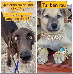 FB_IMG_1628296139093.jpg