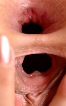 E3F25111-A2CC-4FF1-BE6F-3D3AE30C8E72.png