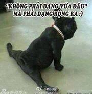 cho4.jpg cho4.jpg