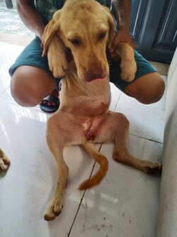 received_642396796360102.jpeg