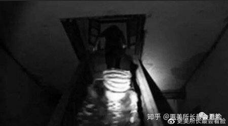 966DE35F-8212-4871-AB9C-B776D3EEBE9E.jpeg