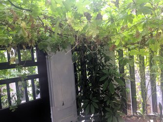 IMG_20210808_091722.jpg