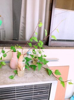 67FB5563-1C19-4D30-B3A4-A7D6B1BD4B65.jpeg