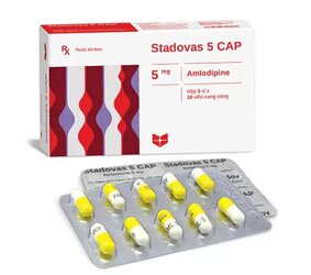 stadovas-5-cap_website_v~2.jpg