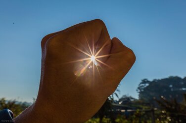 6210B501-92CF-41F9-8EE7-B0412C1F696B.jpeg