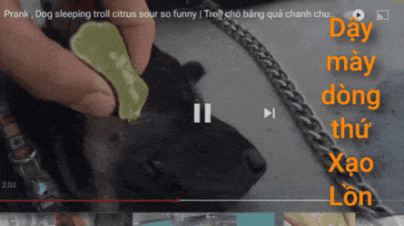 20210817_001028.gif