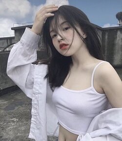 265291.jpg