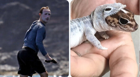 Mark-6-5796-1595211274.jpg Mark-6-5796-1595211274.jpg