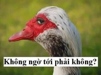 FB_IMG_1629216390975.jpg FB_IMG_1629216390975.jpg