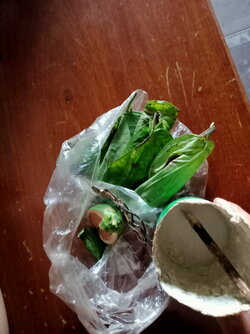 IMG20210818145809.jpg