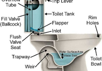 1629386703386.png 1629386703386.png