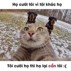 0C405D71-7920-49D9-BF5C-92612D44D9AB.jpeg