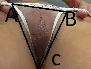 Untitled.png