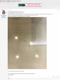 1629470726077.png