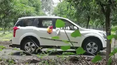 dancing car.gif