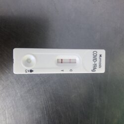 8864789F-4F83-4E43-855E-757E6AA51F0A.jpeg